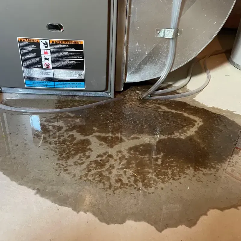 Appliance Leak Cleanup in Anderson, IN